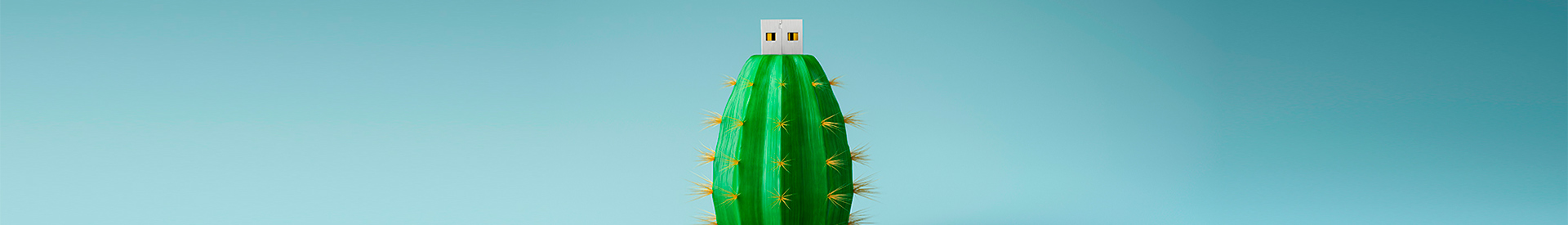 Seguridad Malware - Memoria USB con forma de cactus