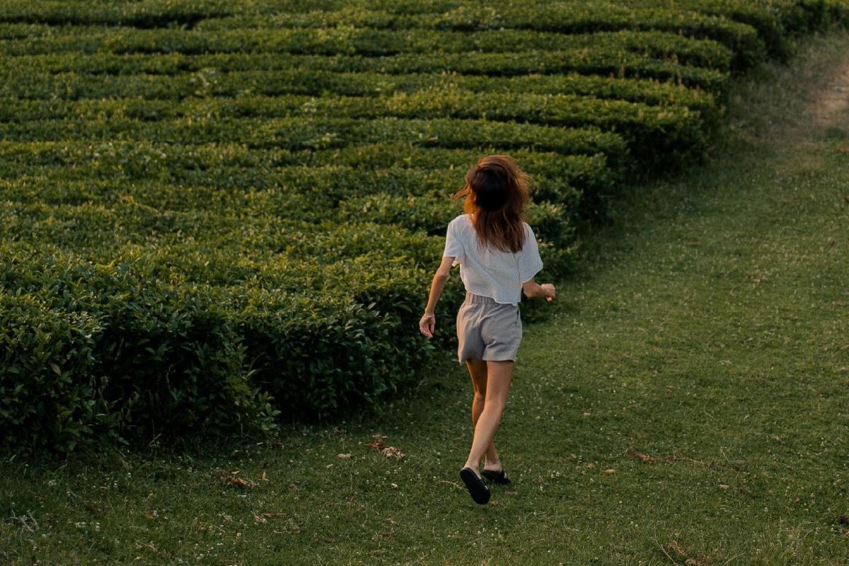 Financiación, ayudas y formación para jóvenes agricultores